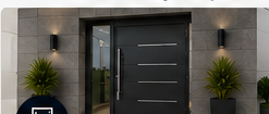 Steel Doors